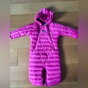 Patagonia Down Bunting